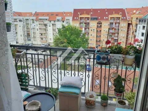 Sale, three bedroom apartment, 72m², Detelinara, Novi Sad Sve Podlokacije - image 13