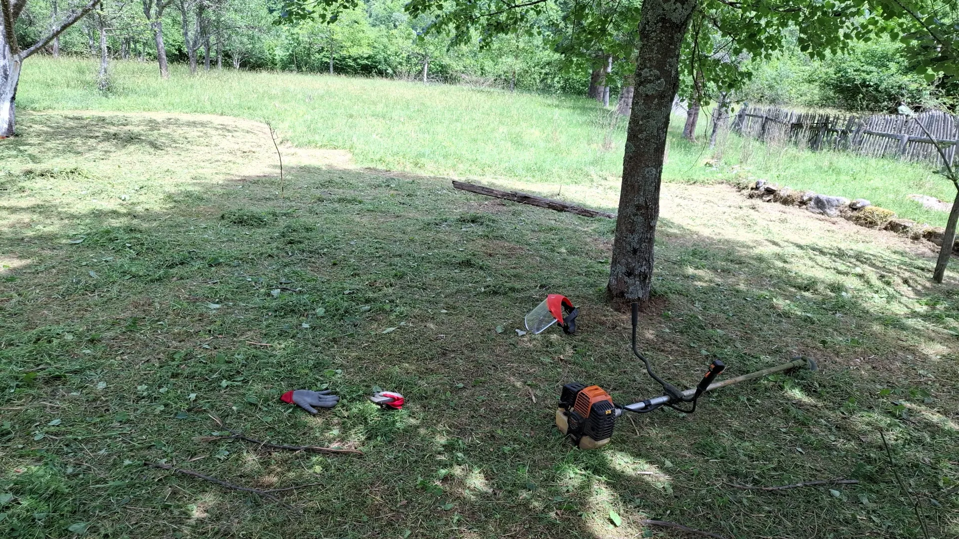 Prodaja, plac, 4000m², Dobrilovina, Mojkovac