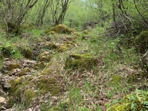 Prodaja, plac, 12000m², Centar, Bar - image 3