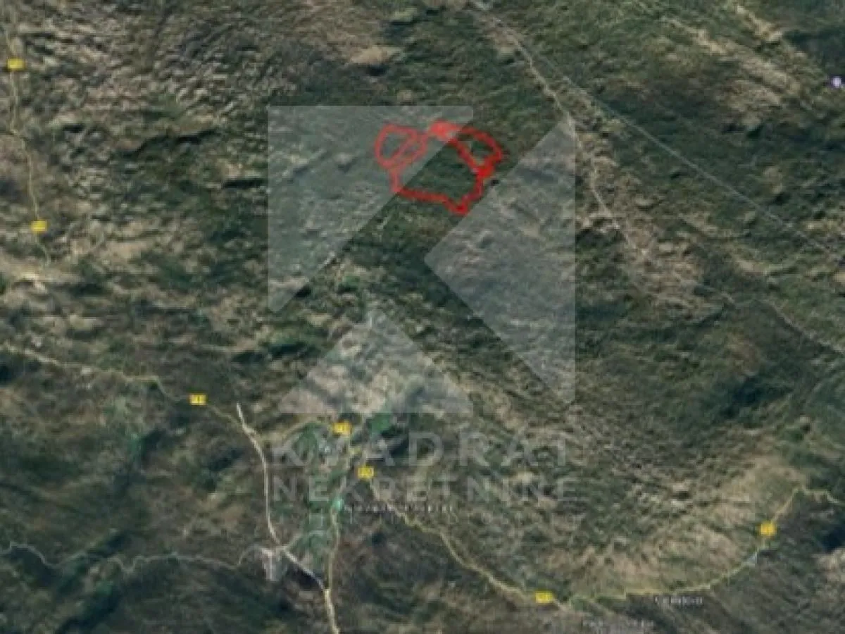 Sale, land lot, 1010000m², Čevo, Cetinje
