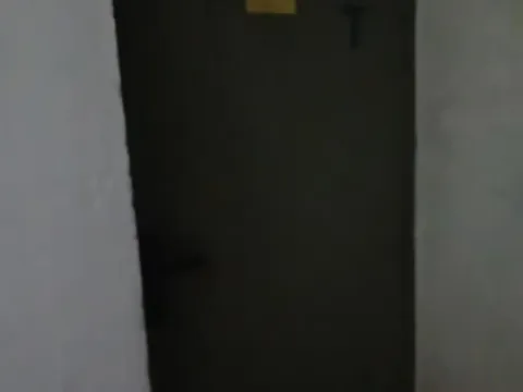 Izdavanje, trosoban stan, 74m², Bulevar, Niš - image 15