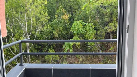 Balcony view of green vegetation and forest. - image 11