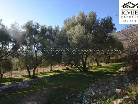 Prodaja, plac, 5345m², Zelenika, Herceg Novi - image 2