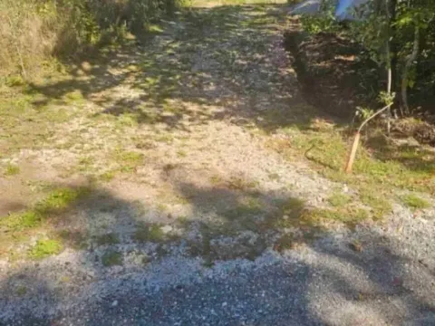 Prodaja, plac, 6000m², Kolašin, Crna Gora - image 2