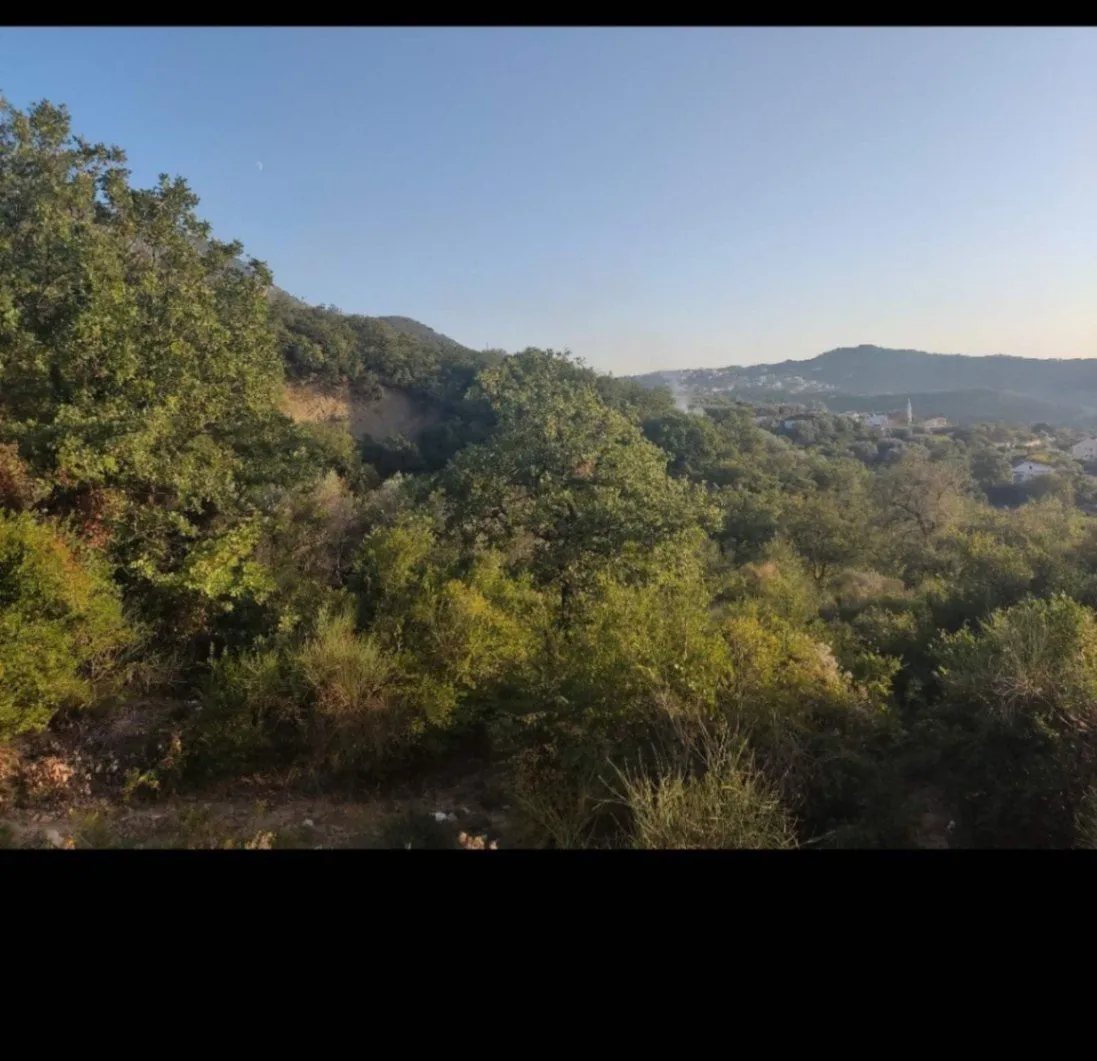Prodaja, plac, 5000m², Zaljevo, Bar