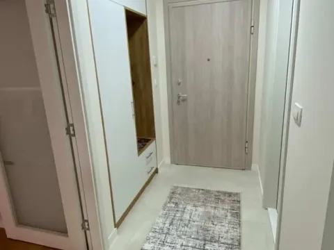 Izdavanje, jednosoban stan, 47m², Central Point, Podgorica - image 10