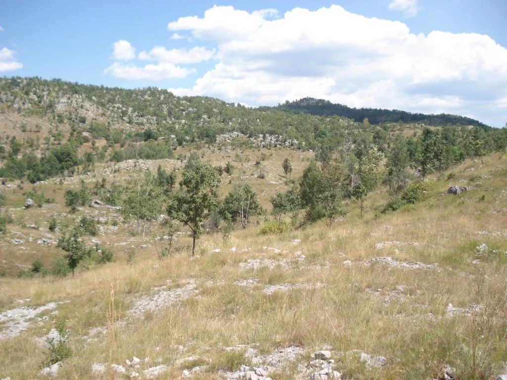 Prodaja, plac, 800000m², Cetinje, Crna Gora