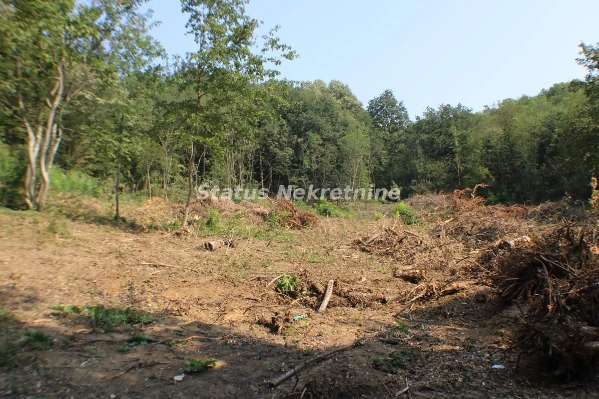 Prodaja, plac, 6500m², Beočin, Srbija