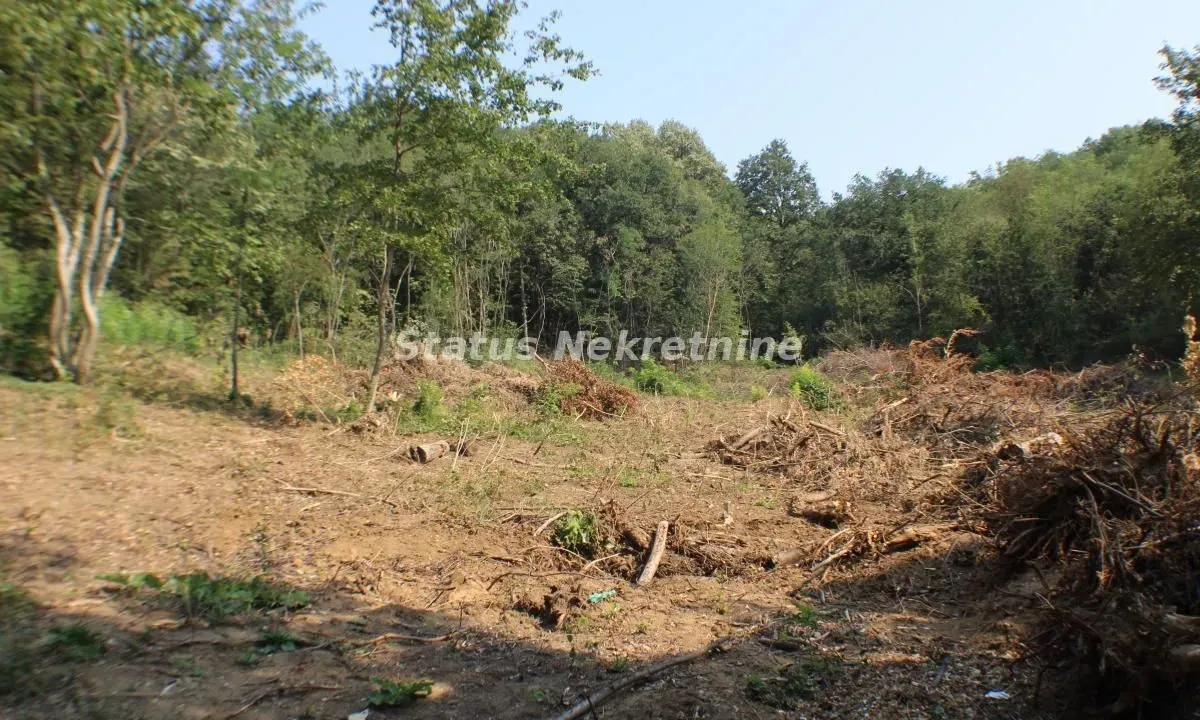 Sale, land lot, 6500m², Beočin, Srbija