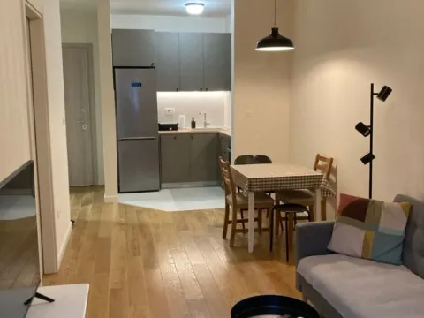 Prodaja, jednosoban stan, 40m², Central Point, Podgorica - image 4