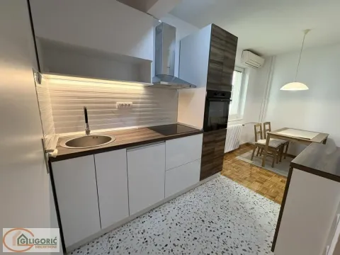 Rent, one bedroom apartment, 45m², Lion, Zvezdara Sve Podlokacije - image 6