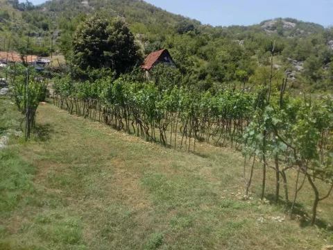 Prodaja, plac, 238441m², Cetinje, Crna Gora - image 4