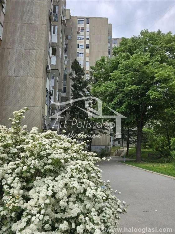 Izdavanje, stan, 20m², Julino Brdo, Beograd