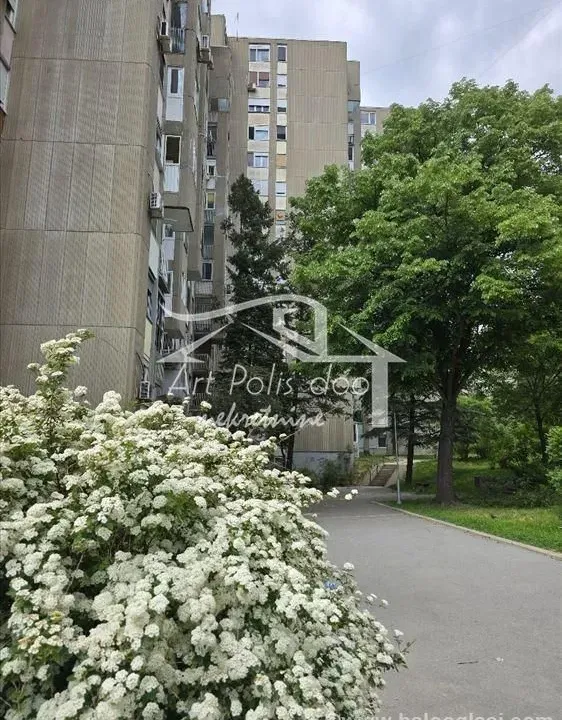 Izdavanje, stan, 20m², Julino Brdo, Beograd