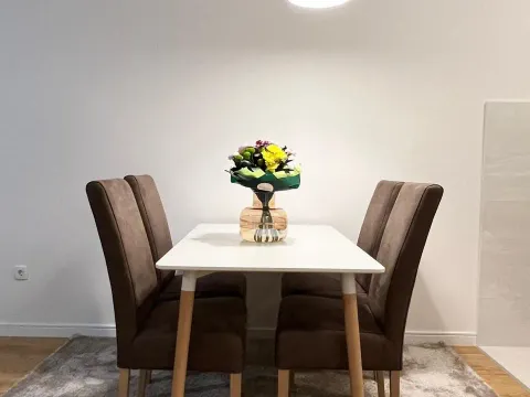 Izdavanje, jednosoban stan, 49m², Central Point, Podgorica - image 2