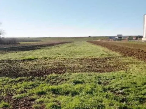 Prodaja, plac, 10366m², Jakovo, Surčin - image 3