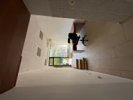 Izdavanje, stan, 18m², Vezirov Most, Podgorica - image 6