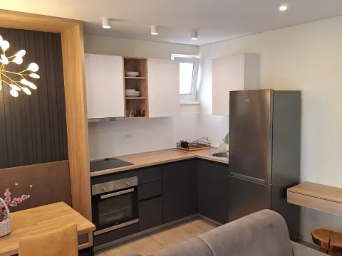 Rent, one bedroom apartment, 45m², Pod Kuk, Tivat - image 2