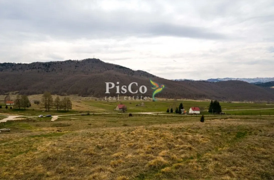 Prodaja, plac, 38000m², Gornja Brezna, Plužine