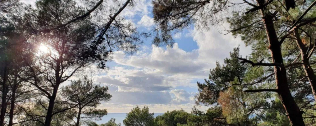 Prodaja, plac, 1028m², Zeleni Pojas, Bar