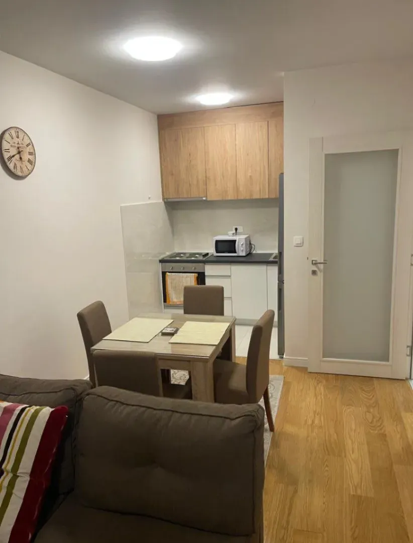 Izdavanje, jednosoban stan, 47m², Central Point, Podgorica