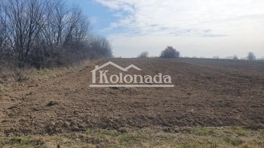 Prodaja, plac, 6573m², Sopot, Beograd