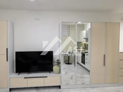 Rent, one bedroom apartment, 35m², Veternik, Novi Sad Sve Podlokacije - image 3