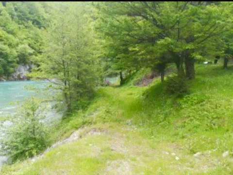 Prodaja, plac, 54000m², Plužine, Crna Gora - image 4