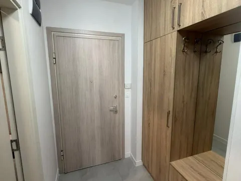 Izdavanje, jednosoban stan, 50m², Central Point, Podgorica - image 10