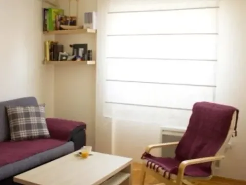 Izdavanje, jednosoban stan, 50m², Stari Aerodrom, Podgorica - image 8