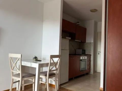 Izdavanje, jednosoban stan, 30m², Rozino, Budva - image 4