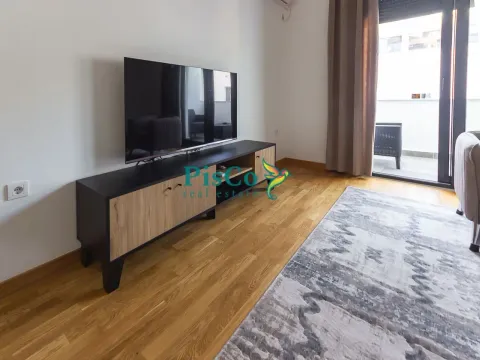 Izdavanje, jednosoban stan, 68m², Centar, Podgorica - image 10