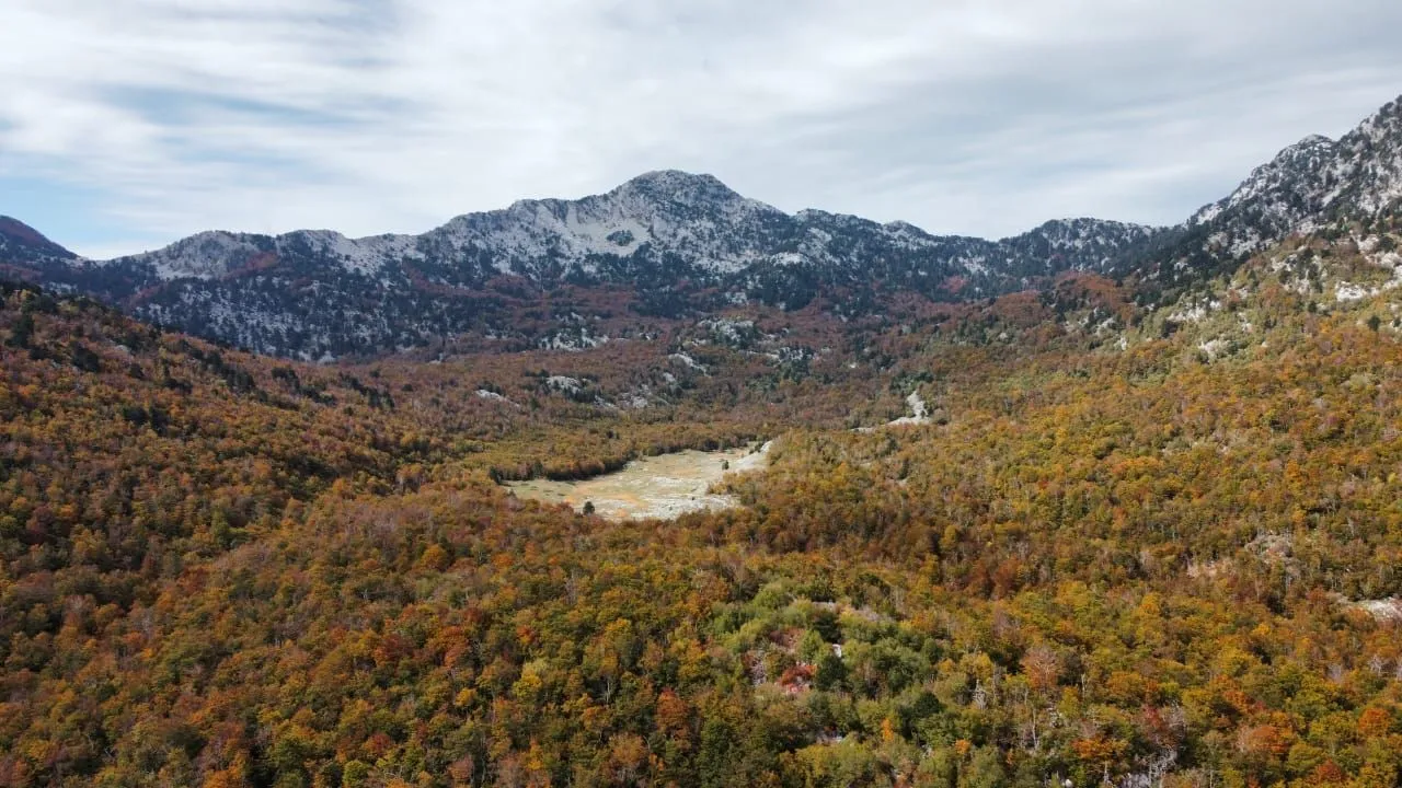 Prodaja, plac, 6368373m², Kotor, Crna Gora
