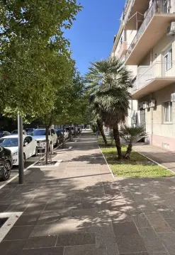 A paved sidewalk in front of a residential building lined with trees and palms. - image 19