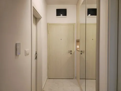 Izdavanje, jednosoban stan, 45m², Zabjelo, Podgorica - image 12