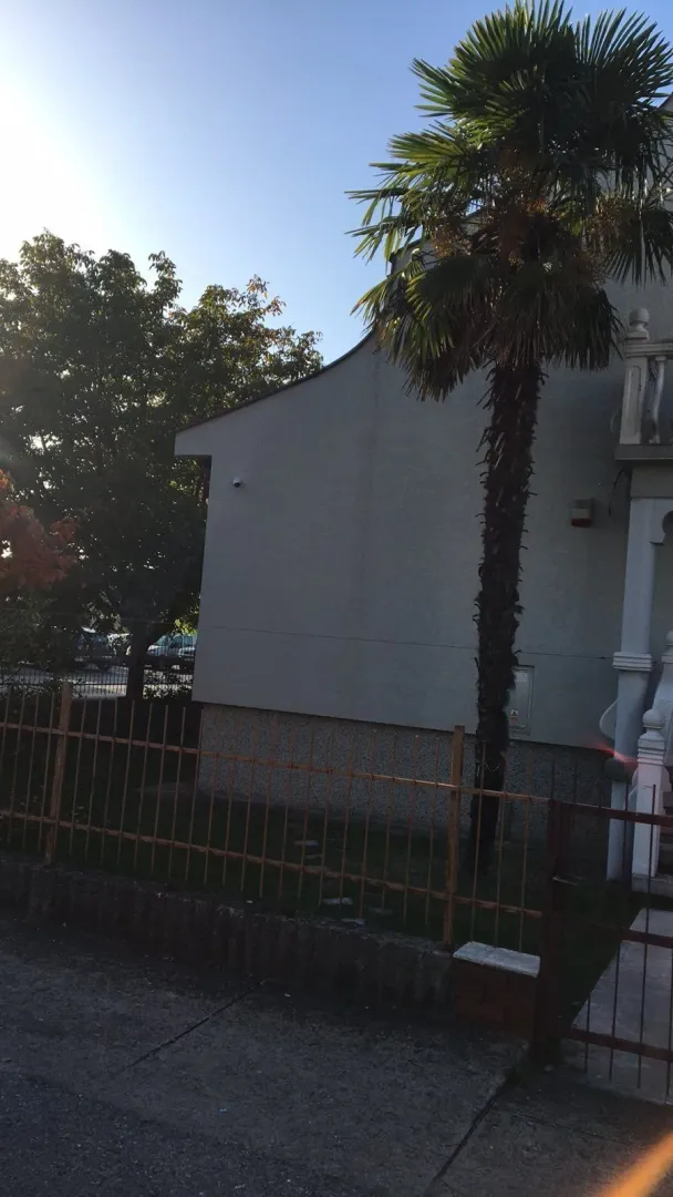Part of a house facade and yard with a metal fence and a palm tree.