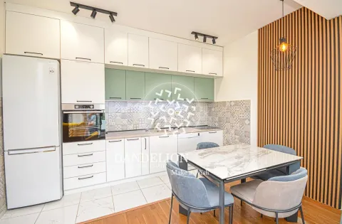 Rent, one bedroom apartment, 59m², Central Point, Podgorica - image 1421