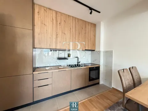 Izdavanje, jednosoban stan, 50m², Zabjelo, Podgorica - image 5