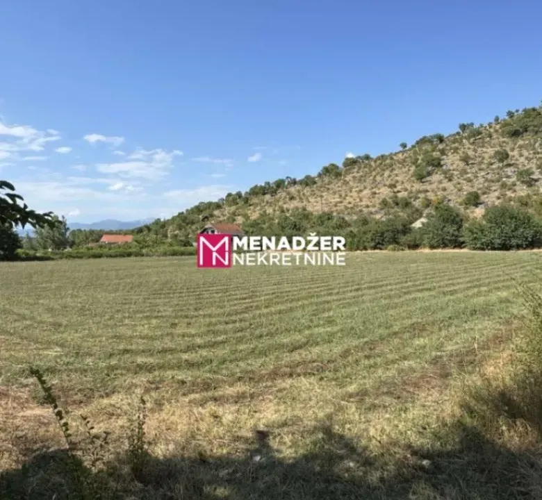 Sale, land lot, 10000m², Komani, Podgorica