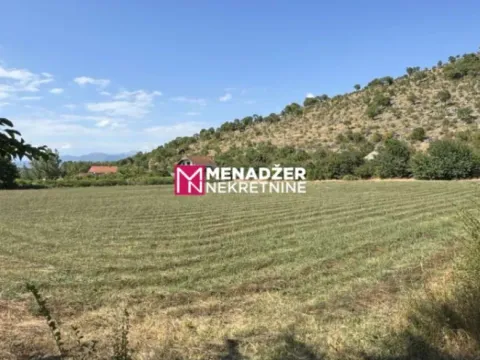 Prodaja,  zemljište, 10000m2, Komani, Podgorica