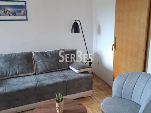 Rent, one bedroom apartment, 41m², Banatić, Novi Sad Sve Podlokacije - image 5