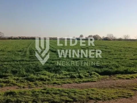 Sale, land lot, 20100m², Petrovčić, Surčin - image 3