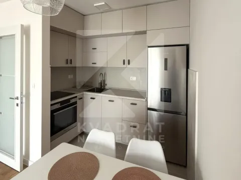 Izdavanje, jednosoban stan, 39m², Zabjelo, Podgorica - image 4