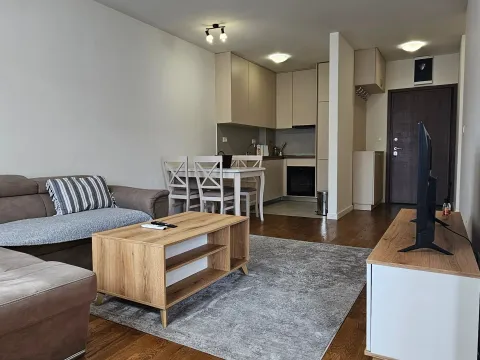 Rent, one bedroom apartment, 45m², Stari Aerodrom, Podgorica - image 4