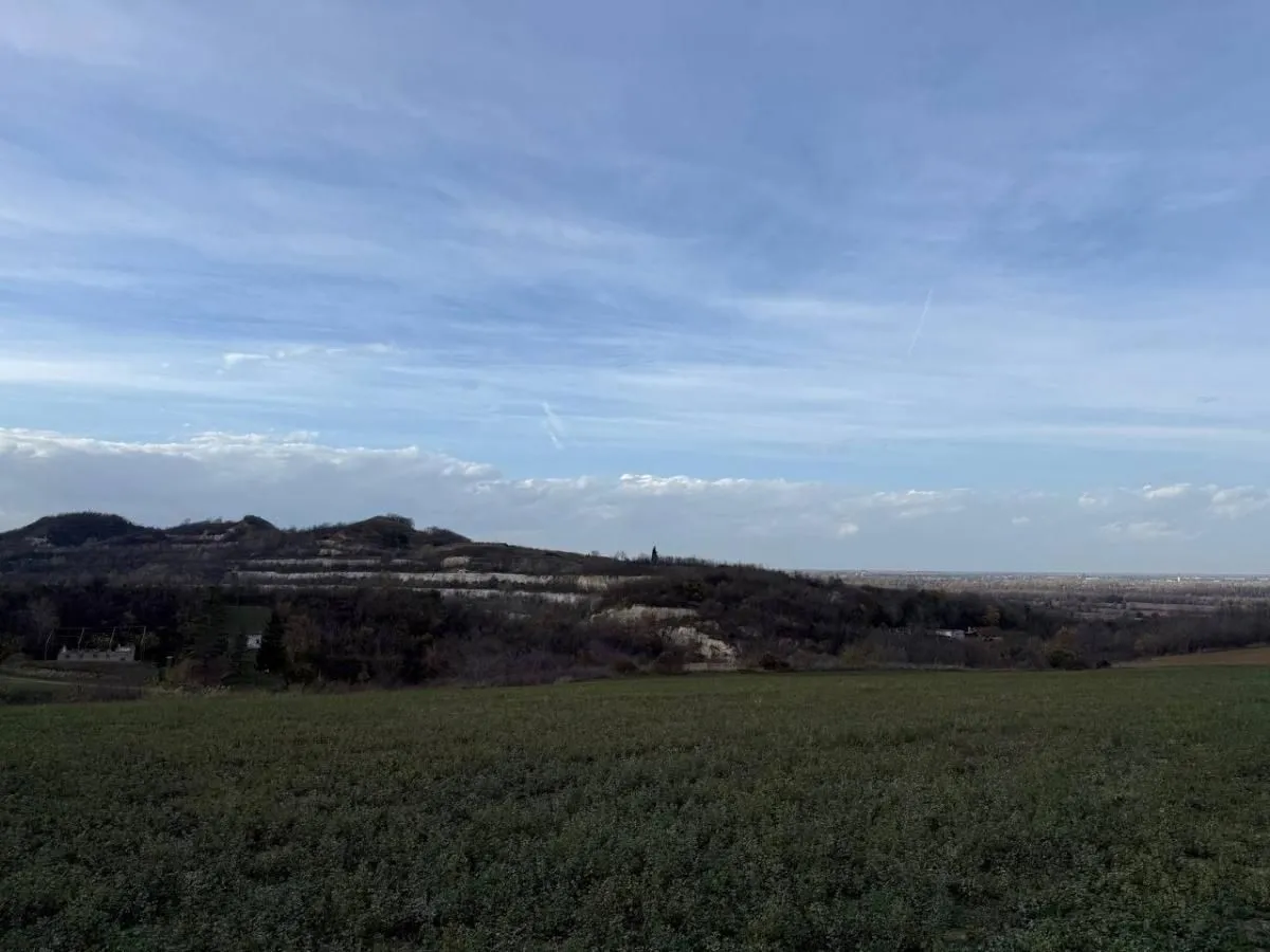 Prodaja, plac, 24207m², Beočić, Rekovac