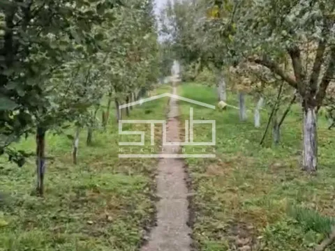 Prodaja, kuća, 120m², Stari Tamiš, Pančevo - image 11