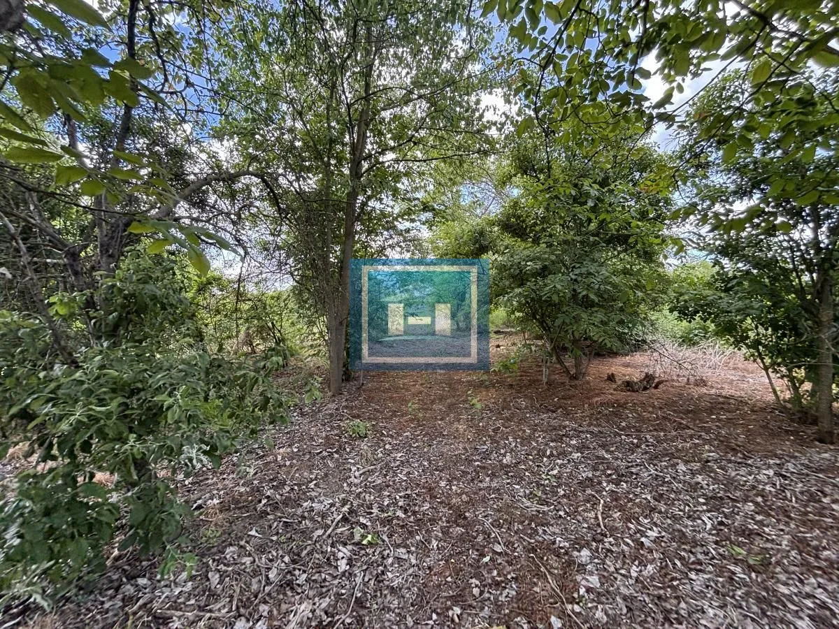 Prodaja, kuća, 93m², Dragocvet, Jagodina