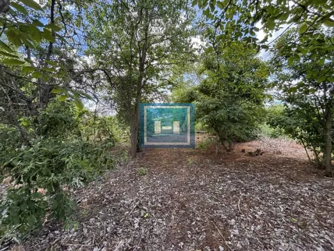 Prodaja, kuća, 93m², Dragocvet, Jagodina - image 20