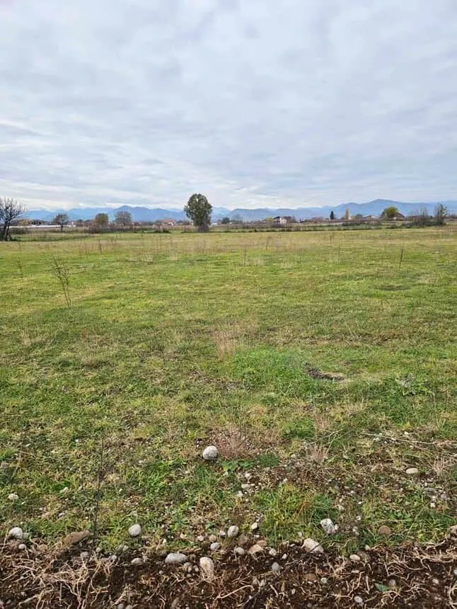 Prodaja, plac, 6058m², Podgorica, Crna Gora