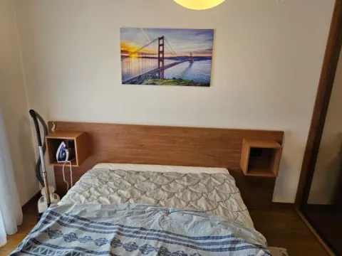 Rent, one bedroom apartment, 48m², Ljubović, Podgorica - image 16